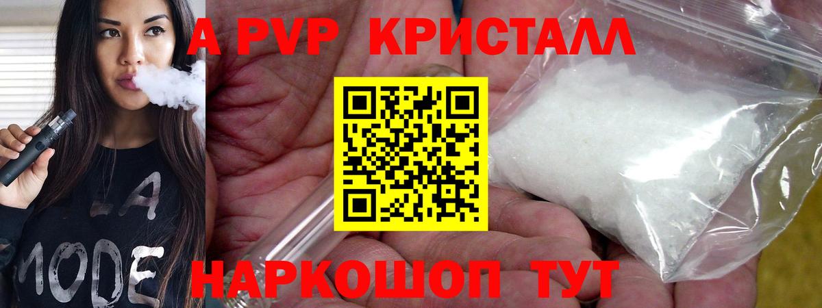 Alfa_PVP СК Королёв