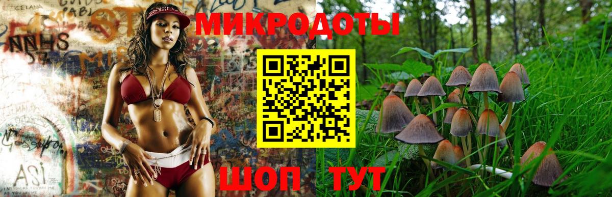 Псилоцибиновые грибы мицелий  Псилоцибиновые грибы Cubensis  Вход с VPN  Королёв 